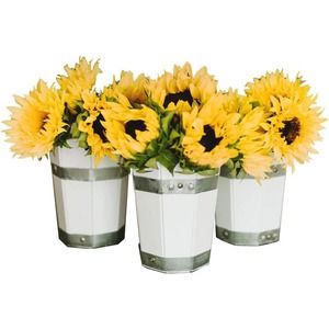 Set of 3 White Flower Pots